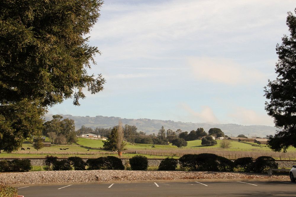Suite 210: 1310 Redwood Way, Petaluma, CA 94954